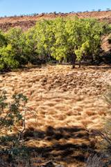 nature wild   and outback in   the  meteorite fall