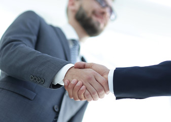 Successful business people handshaking after good deal.
