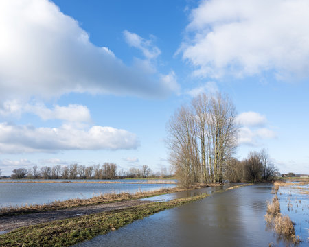flooded flood plains of river ijssel near Zalk between Kampen and Zwolle in the netherlands