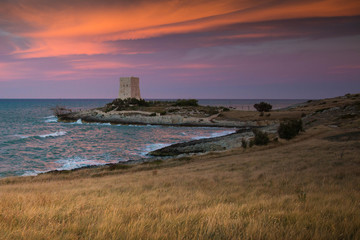 Landscape or seascape with dramatic pink sunset and an old defense tower on the sea. Vieste, italy.
