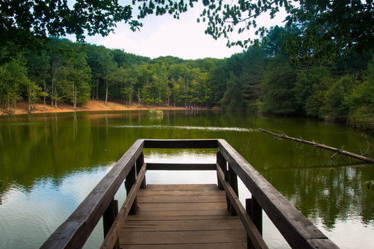 Green forest lake view from wooden pier. Foresta Umbra Park, Italy.