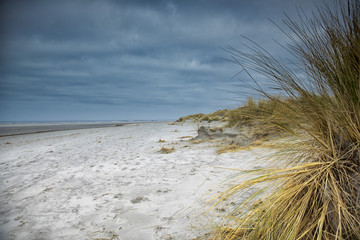 Beach Schiermonnikoog Netherlands