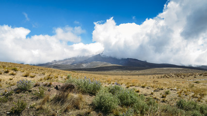 Fototapeta na wymiar Chimborazo, a currently inactive stratovolcano in the Cordillera of the Ecuadorian Andes