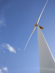 Aerogenerador, molino de viento en el campo