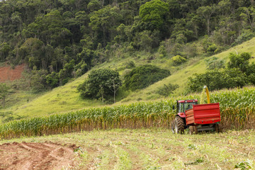 Fototapeta premium Agricultura
