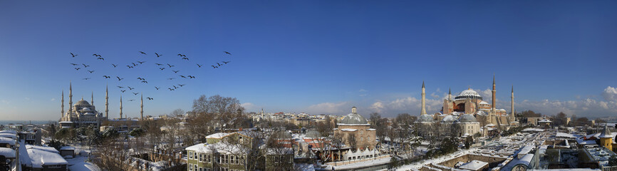 Fototapeta na wymiar Istanbul panoromic photo, The Hagia Sophia and Blue Mosque , sultanahmet square,The Fatih Mosque ,Galata Tower ,Topkapi palace and Maiden Tower Istanbul Turkey