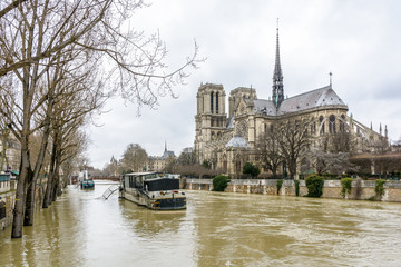 Fototapeta na wymiar View of the swollen Seine at the foot of Notre-Dame de Paris cathedral, during the winter flooding episode of January 2018, causing the riverboats moored at the Montebello port to be inaccessible.