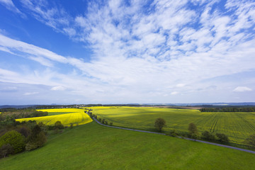 Obraz premium Spring landscape with fields, meadows and a road