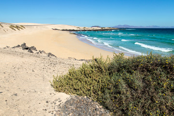 Spiaggia di Corralejo
