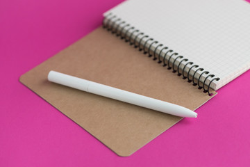 Top view of open notebook with fountain pen on pink background