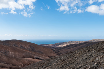 arid rolling landscape with ocean in background under blue sky on Fuerteventura island