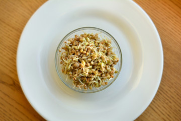 Fresh buckwheat sprouts for healthy eating