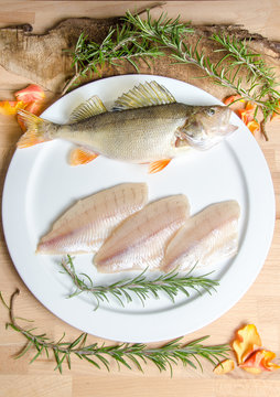 Kretzer Barsch Egli Bodensee Speisefisch Regional