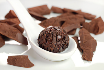 Traditional Brazilian chocolate candy called brigadeiro in semisweet chocolate gourmet version