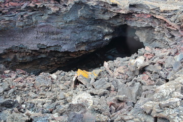Lanzarote 2017