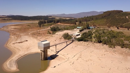 Dried up trees in a dam during a drought
