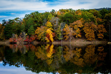 Fototapeta premium Red and Yellow Trees at the Lake