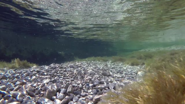 Underwater scenary of shalow waters with reefs and white rounded stones in the flor. Video made in the Mediterranean Sea in Sicily, Italy.