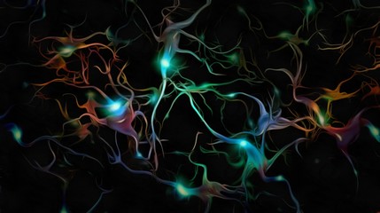 Neurons