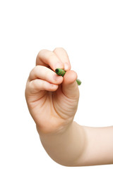 Kid hand holding felt-tip pen isolated on white