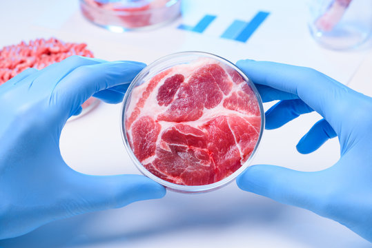 Meat in lab Petri dish
