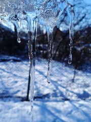 Naklejka na ściany i meble Row of big frosty icicles in nature