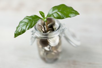 Coins in a glass jar