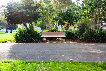 Solitary park bench