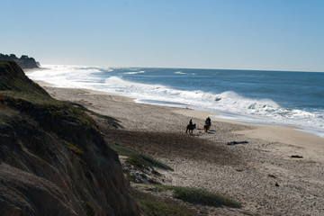 Horses on beach with waves crashing