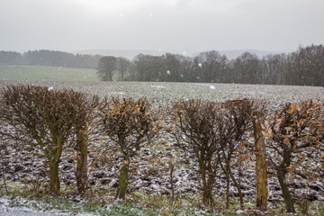 Winterlandschaft im Ruhrgebiet