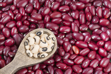 Vigna unguiculata and Raw red beans