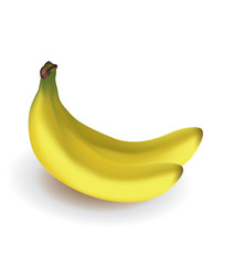 Two bananas on white background, vector