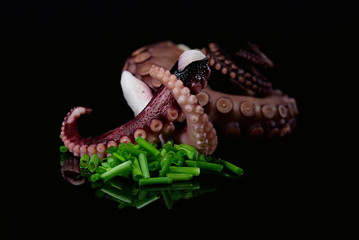 Octopus Tentakel