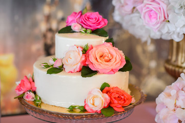 Obraz na płótnie Canvas Holiday cakes for gourmets. Wedding cake. 