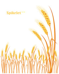 Vector silhouette of wheat. Wheat in the field on a white background