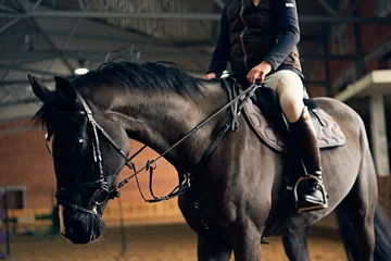 Foto op Aluminium Paardenredder op een paard in een rijbak zit in het zadel en benen in stijgbeugels © belyjmishka