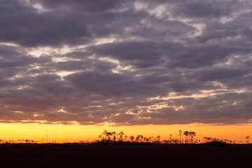 Everglades Sunset