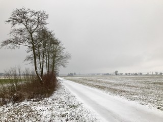 Obraz premium Winterlandschaft in Eggmühl (Oberpfalz, Bayern)