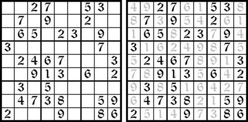 Vector Sudoku game