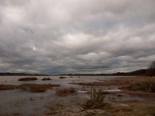 moody sky overcast autumn winter bay water ocean trees