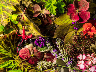 Autumn harvest with a selection of leaves and flowers
