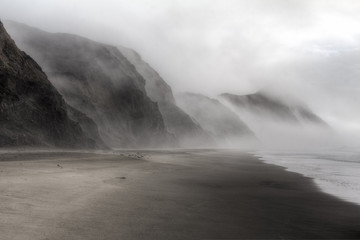 Piękna mgłowa plaża w punkcie Reyes, Kalifornia - 191385065
