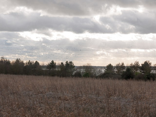 moody skyline clouds over autumn farm field