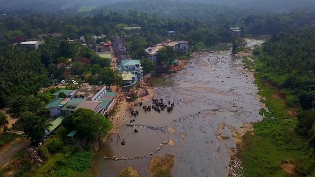 Aerial view of elephant farm lake in Sri Lanka drone footage 