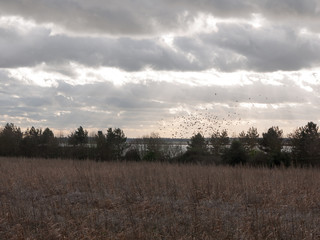 moody skyline clouds over autumn farm field