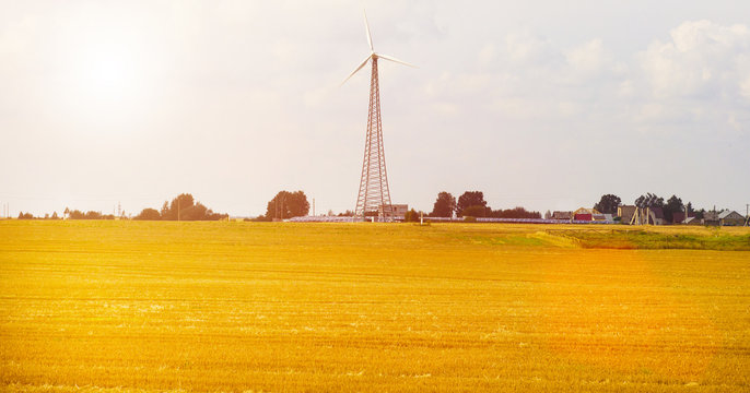 Wind turbine on a wheat field sunne