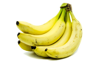 Bananenstaude Bananen 