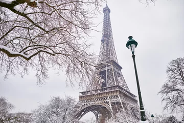  Scenic view to the Eiffel tower on a day with heavy snow © Ekaterina Pokrovsky