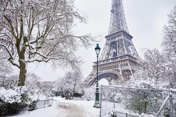 Fotobehang Scenic view to the Eiffel tower on a day with heavy snow © Ekaterina Pokrovsky