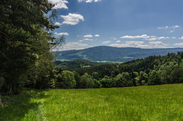 Fototapeta na wymiar gruene landschaft mit bergen